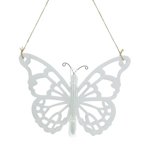 Product Butterfly with test tube for hanging 19x24cm 3pcs