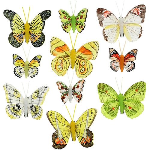 Floristik24 Butterflies with clip 5cm - 7cm assorted 10pcs