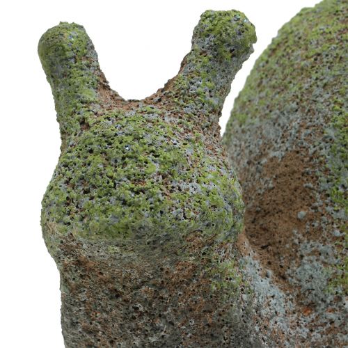 Floristik24 Garden figurine snail mossy 31cm x 17cm H17cm