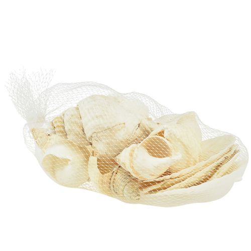 Floristik24 Snail Shell Decoration Natural White Maritime Table Decoration 350g