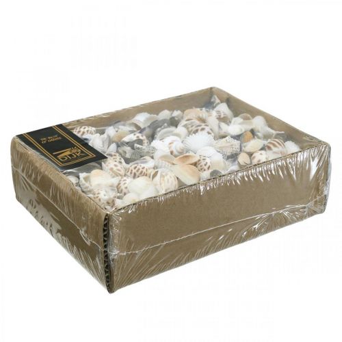 Floristik24 Mussel Mix Mini, Sea Snails, Natural Mussels L1–4cm 1000g