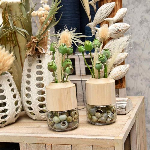 Floristik24 Snail Shells Green 1kg