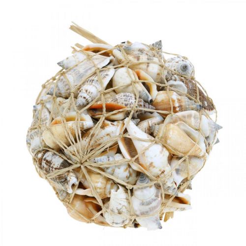 Floristik24 Deco snail shells empty in bast net sea snails 400g