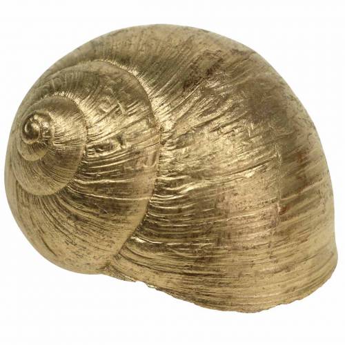 Floristik24 Snail shell Golden 24 pcs natural decoration