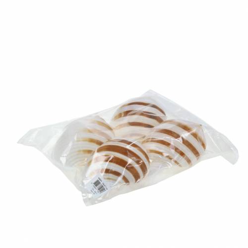 Floristik24 Sea snail barrel snail natural 10-12cm 4 pcs