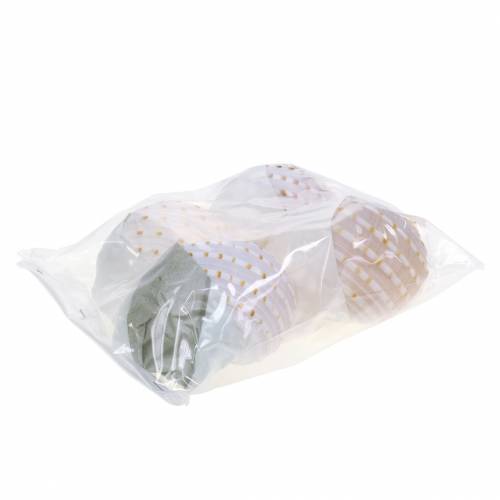 Floristik24 Decorative shell snail Tonna tessellata natural 10-13cm 4 pcs