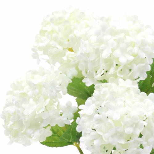 Floristik24 Snowball Viburnum Branch White 42.5cm