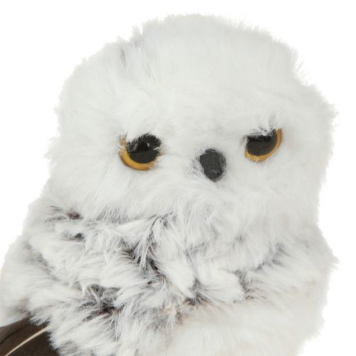 Floristik24 Snowy owl decorative figure owls pair white brown H12cm 4 pieces