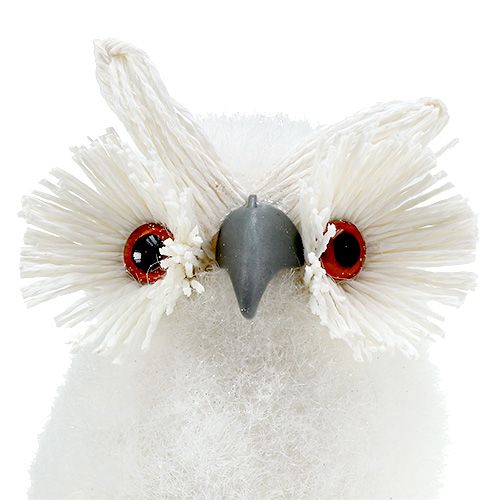 Floristik24 Snowy owl white 18cm
