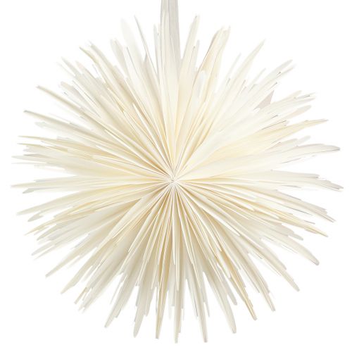 Floristik24 Snowflake Paper Decoration Star White Christmas Ø50cm