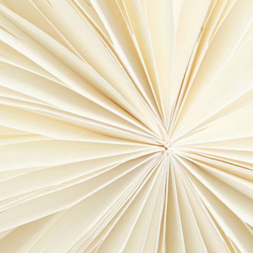 Product Snowflake Paper Decoration Star White Christmas Ø50cm