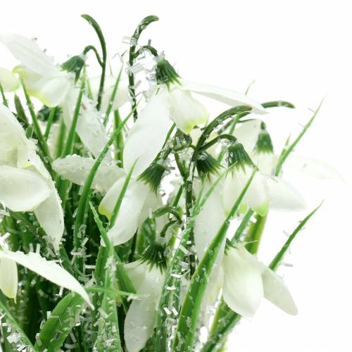 Product Snowdrops in a frosted pot 25cm