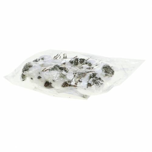 Floristik24 Snow bird on clip 8cm x 6.5cm 6 pcs