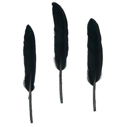 Floristik24 Black Feathers Decorative Goose Feathers Black 11-14cm 180pcs