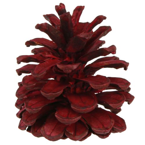 Product Black pine cones Bordeaux decorative cones red 6-8cm 6 pcs