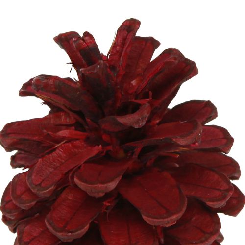 Product Black pine cones Bordeaux decorative cones red 6-8cm 6 pcs