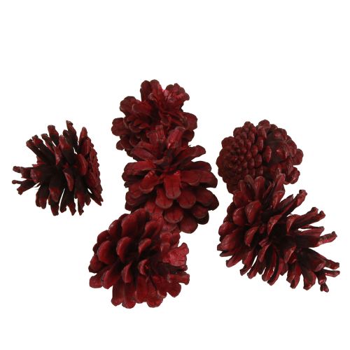 Product Black pine cones Bordeaux decorative cones red 6-8cm 6 pcs
