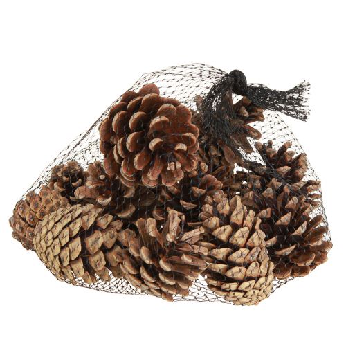 Product Black pine cones, natural decorative cones, pine cones, 5-8cm, 250g