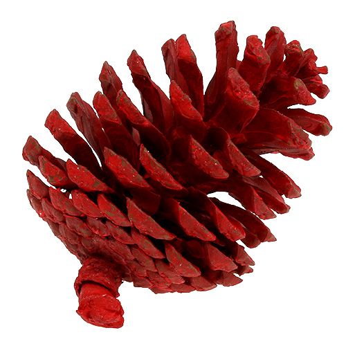 Floristik24 Black pine cones red 50 pcs