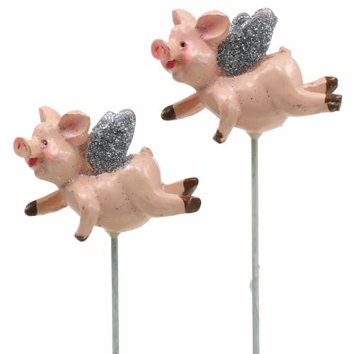 Floristik24 Decorative plug pig lucky charm 6pcs