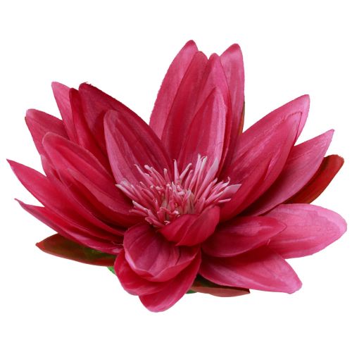 Floristik24 Floating water lily artificial table decoration fuchsia Ø15cm