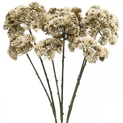 Floristik24 Sedum artificial flower sedum cream flower decoration autumn 70cm 3pcs