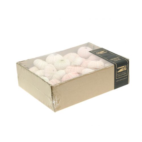 Floristik24 Sea Urchin Pink Maritime Decoration 36 pcs