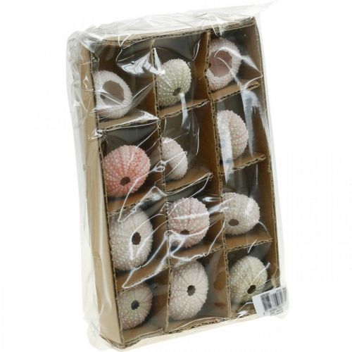Floristik24 Sea urchin decoration maritime pink, white, green summer decoration 12 pcs