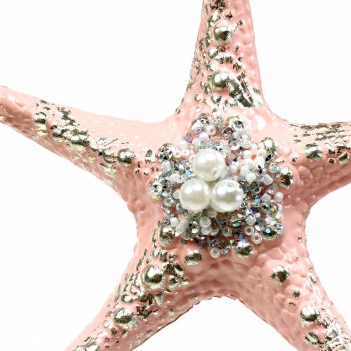 Floristik24 Deco hanger starfish 12cm 3pcs