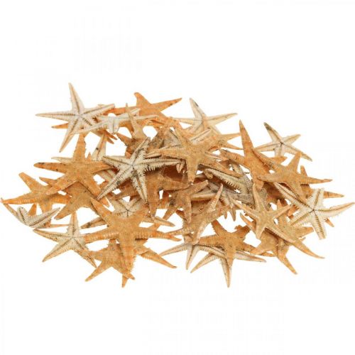 Floristik24 Starfish scatter decoration home deco mini starfish nature 2-4cm 50p