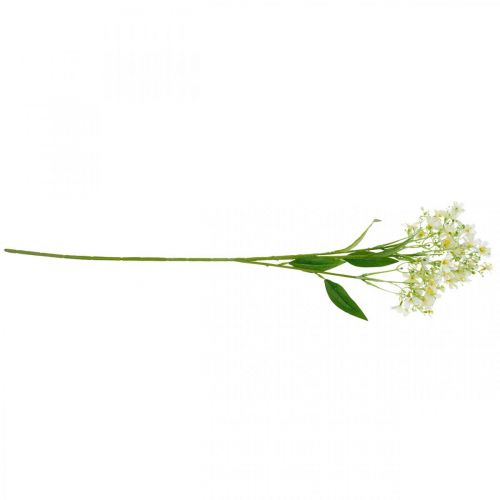 Floristik24 Artificial silk blast, flower decoration, silk flower, decoration flower white L72cm
