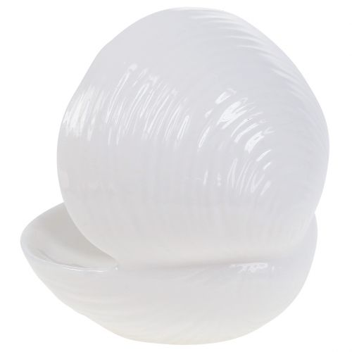Floristik24 Soap dish shell 12cm x 10.5cm x 11cm white