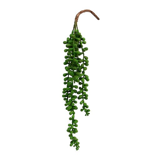 Floristik24 Senecio hanger 36cm green