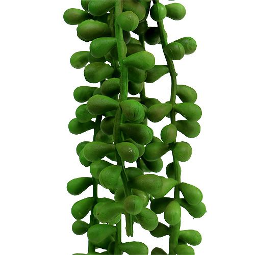 Floristik24 Senecio hanger 36cm green