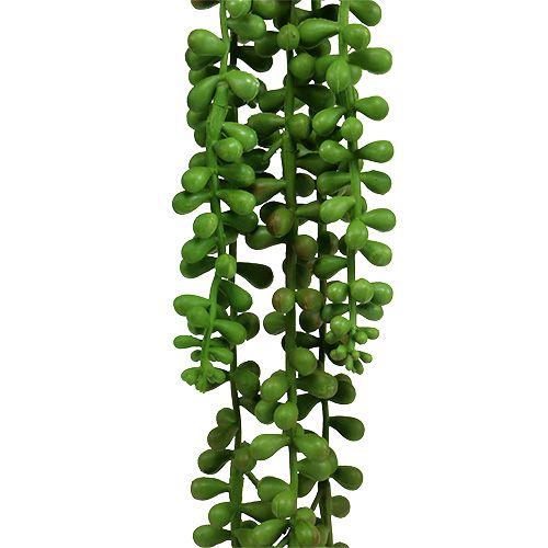 Floristik24 Senecio hanger 75cm green