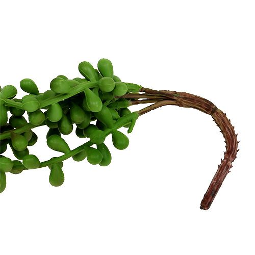 Floristik24 Senecio hanger 75cm green