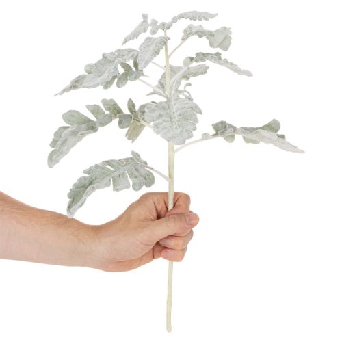Artificial Senecio branch, silver leaf, intricately crafted, 45cm, 3 pieces | Floristik24.ie