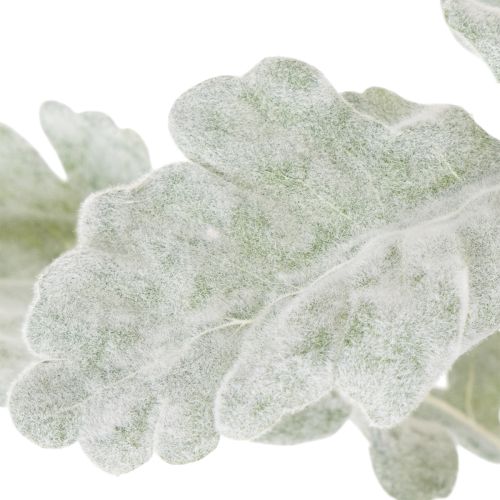 Artificial Senecio branch, silver leaf, intricately crafted, 45cm, 3 pieces | Floristik24.ie