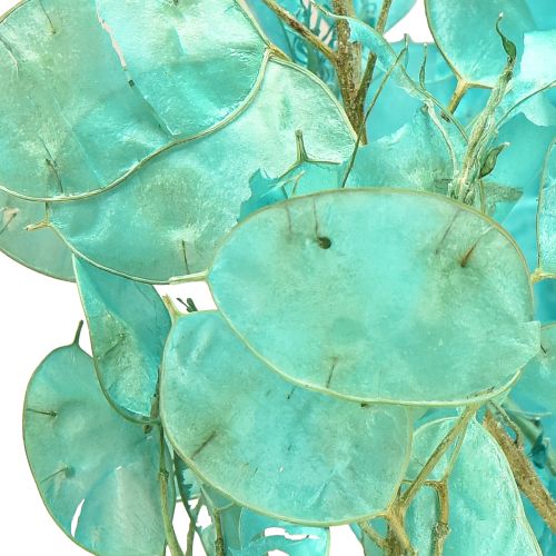 Product Dried silver leaf Lunaria light blue 65-70cm 20g