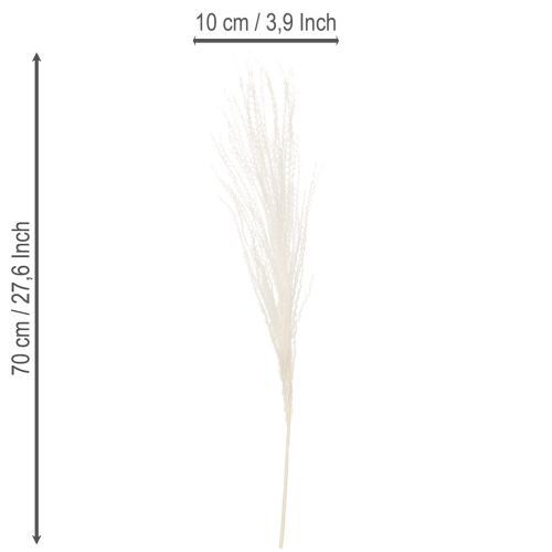 Product Dried flowers, silver grass. Elegant natural decoration for home and office. 70cm, 10 pieces.