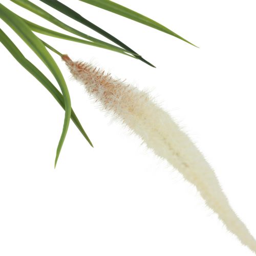 Floristik24 Silver hair grass green plant sweet grass artificial 104cm
