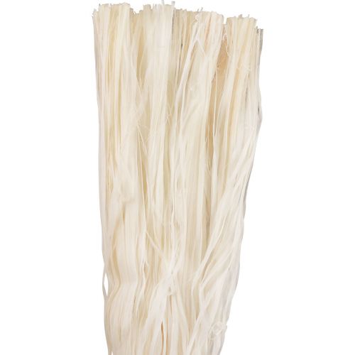 Product Vegetable natural fibers skeleton ribbon natural ribbon decoration 180g