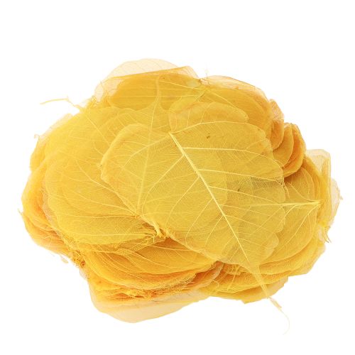 Product Skeletonized Bodhi leaves for creative decorations