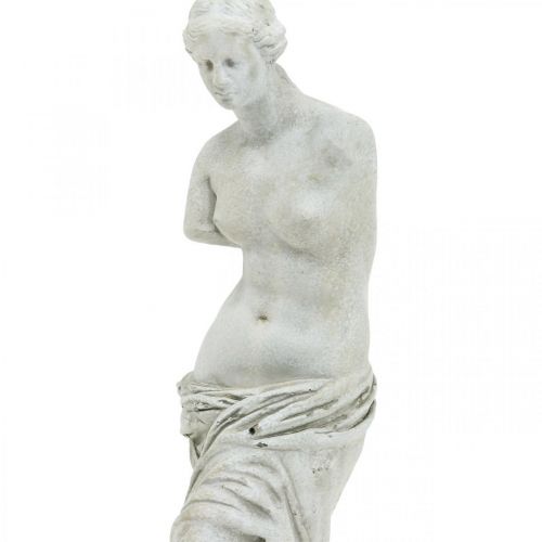 Floristik24 Venus Statue Decorative Sculpture H29cm Grey-Brown Decorative Figure Garden