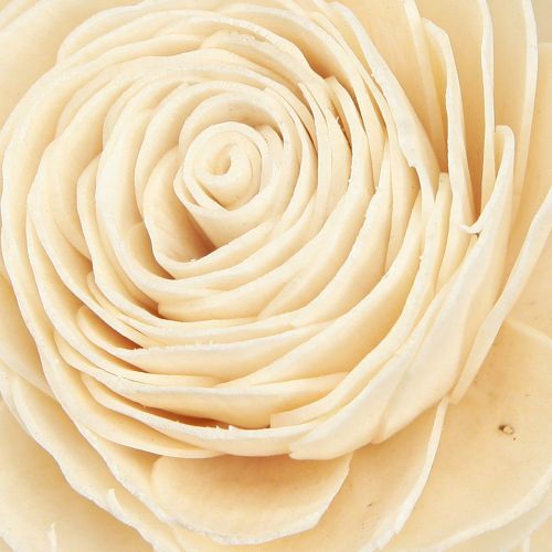 Product Sola Flowers Wooden Wooden Flowers Decoration Mix Cream 6-11cm 12-15 pcs