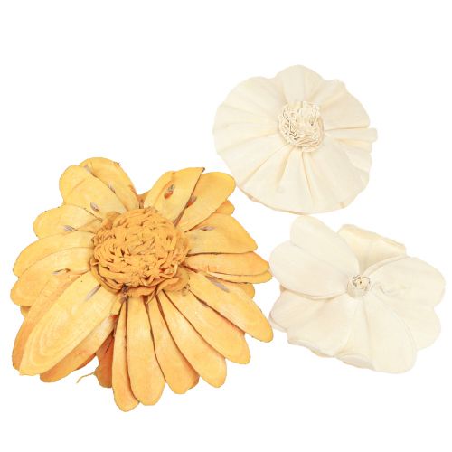 Floristik24 Sola Flowers Made of Wood Decorative Wooden Flowers Mix Orange 6-11cm 12-15 Pcs