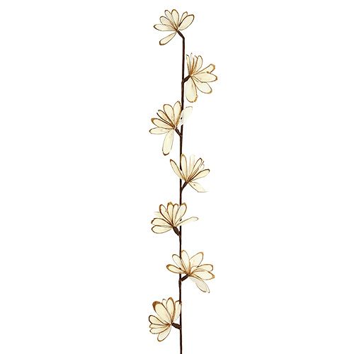 Floristik24 Sola Chips Sunny Stick Brown, White 6 pcs.