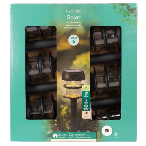 Solar garden lights with ground spike, outdoor lamps for garden paths, 35cm, 6 pieces | Floristik24.ie
