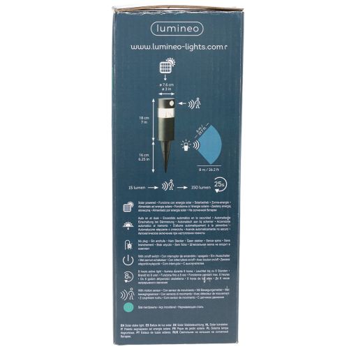 Solar garden light with motion sensor, LED, 34 cm | Floristik24.ie