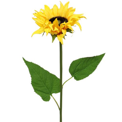 Floristik24 Long stemmed sunflower yellow 53cm
